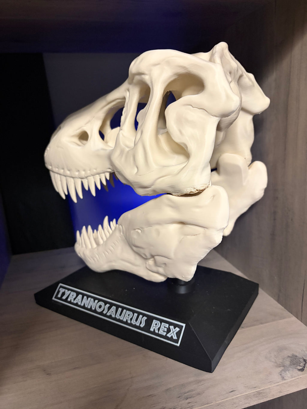 Tyrannosaurus Rex Skull Display | T-Rex Dinosaur Fossil Replica with Stand