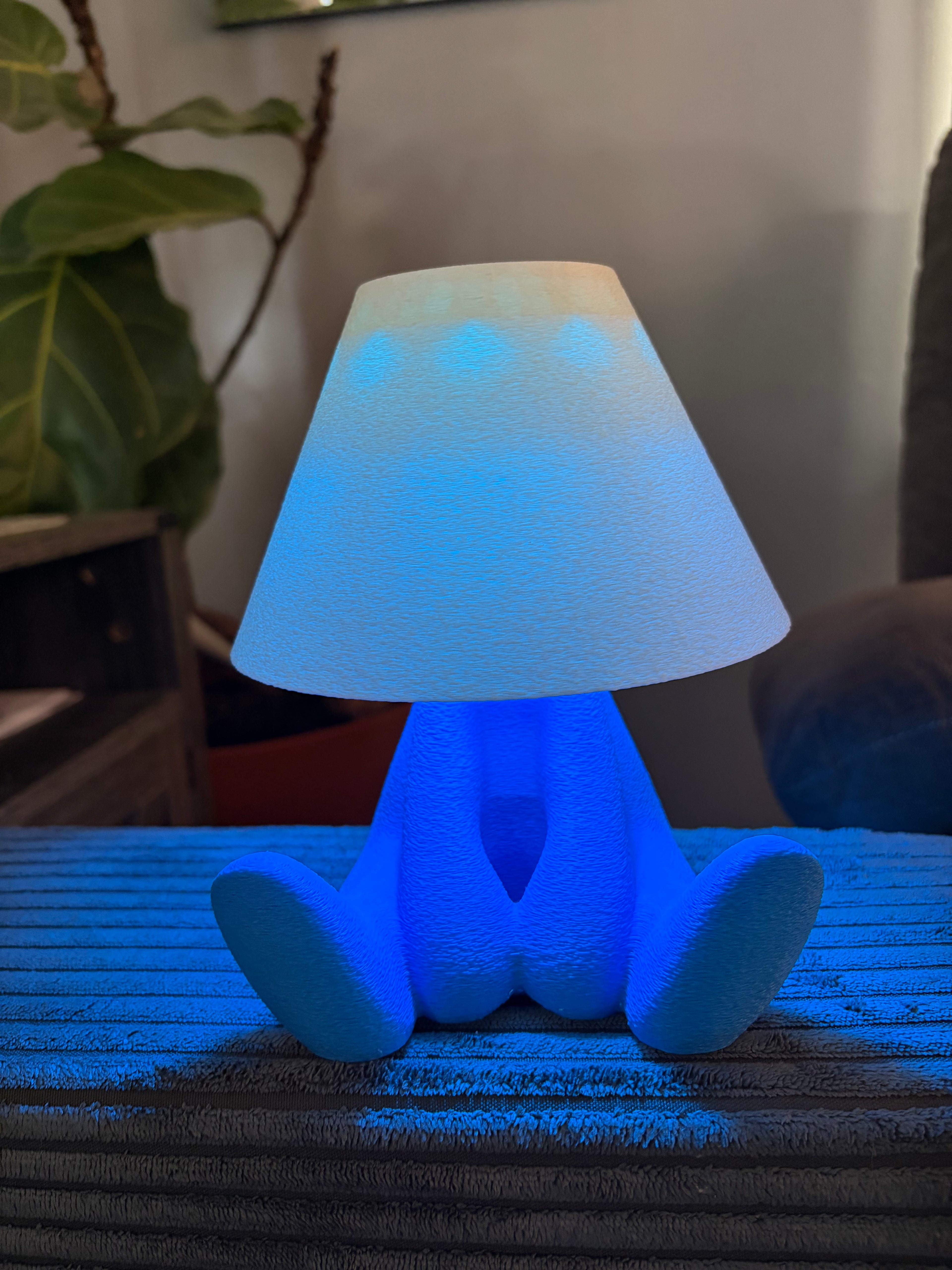 Shy kid LED Lamp with remote usb