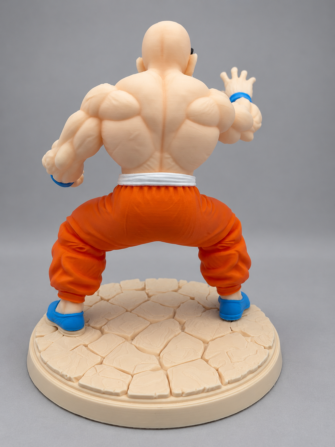 Master Roshi figure rear view